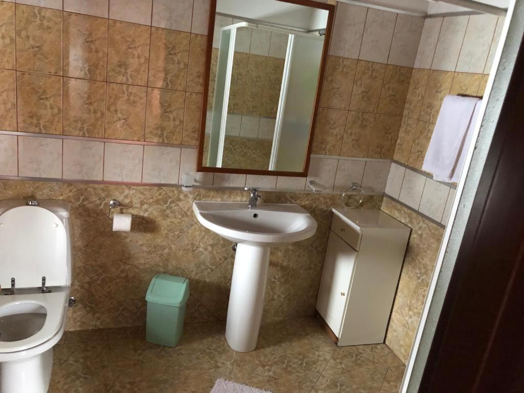 Vila Eli Villa Azuga Esterno foto